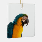 Papegaai Post-it Notities Keramisch Ornament (Rechts)
