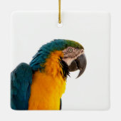 Papegaai Post-it Notities Keramisch Ornament (Achterkant)