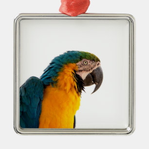 Papegaai Post-it Notities Metalen Ornament