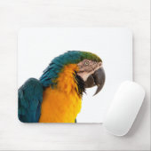 Papegaai Post-it Notities Muismat (Met muis)