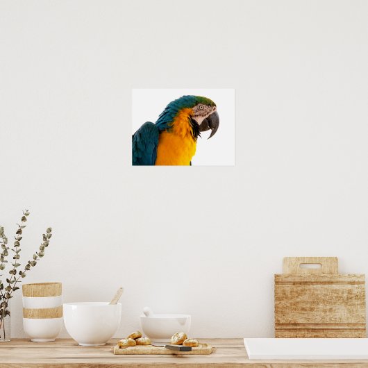 Papegaai Post-it Notities Poster (Keuken)
