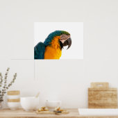 Papegaai Post-it Notities Poster (Keuken)