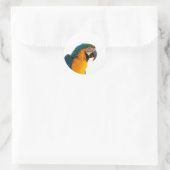 Papegaai Post-it Notities Ronde Sticker (Tas)