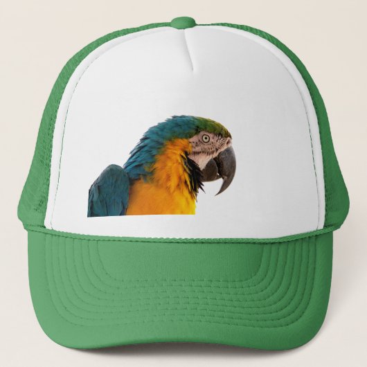 Papegaai Post-it Notities Trucker Pet (Voorkant)