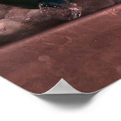 papegaai poster (Hoek)