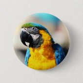 papegaai ronde button 5,7 cm (Voorkant)