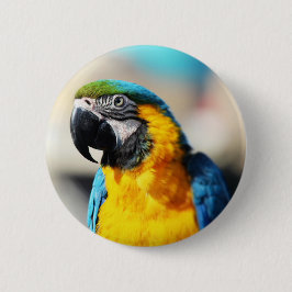 papegaai ronde button 5,7 cm