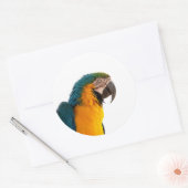 Papegaai ronde sticker (Envelop)