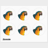 Papegaai ronde sticker (Vel)