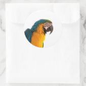 Papegaai ronde sticker (Tas)