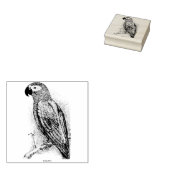 papegaai rubberstempel (Gestempeld)