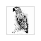 papegaai rubberstempel (Afrduk)