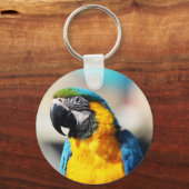 papegaai sleutelhanger (Voorkant)