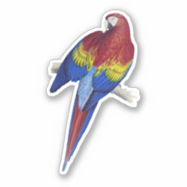 Papegaai Sticker