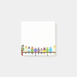 Papegaai Sticky Notes