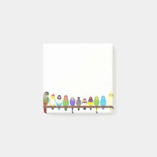 Papegaai Sticky Notes