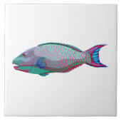 papegaai tegeltje (Voorkant)