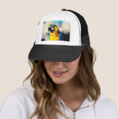 papegaai trucker pet (In situ)