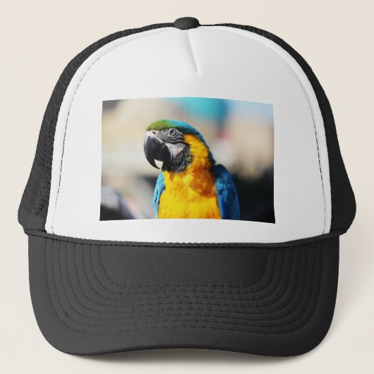papegaai trucker pet (Voorkant)