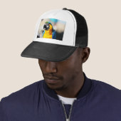papegaai trucker pet (In situ)
