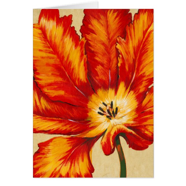 Papegaai Tulip II (Voorkant)