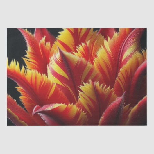 Papegaai Tulp Bloemen Rood en Geel Tissuepapier (Voorkant)