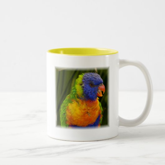 papegaai tweekleurige koffiemok (Rechts)