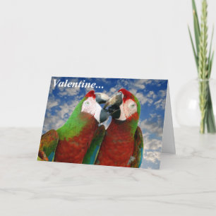 Papegaai Valentijn Kaart 003