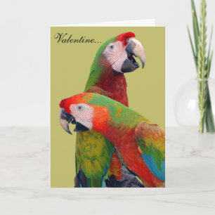 Papegaai Valentijn Kaart 007