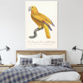 Papegaai van het Paradijs van Cuba, Psittacus Para Canvas Afdruk (Insitu (Slaapkamer))