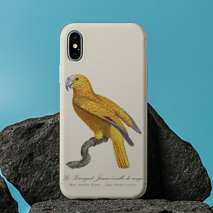 Papegaai van het Paradijs van Cuba, Psittacus Para Case-Mate iPhone Case