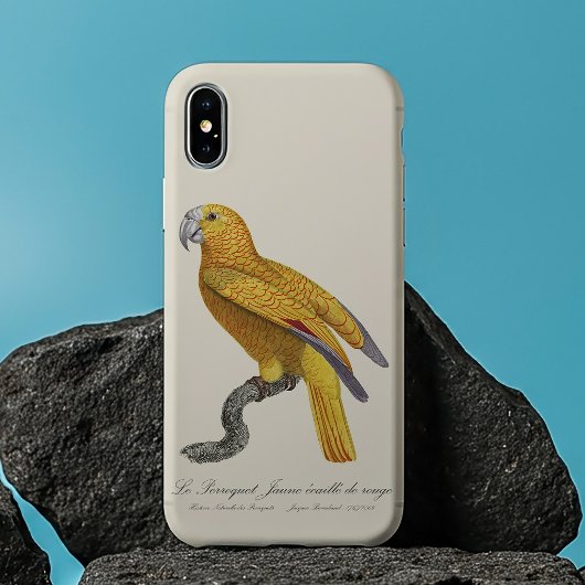 Papegaai van het Paradijs van Cuba, Psittacus Para Case-Mate iPhone Case