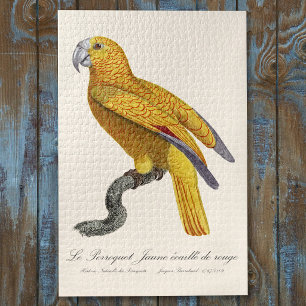 Papegaai van het Paradijs van Cuba, Psittacus Para Legpuzzel