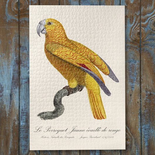 Papegaai van het Paradijs van Cuba, Psittacus Para Legpuzzel