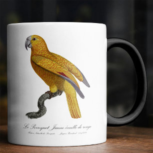 Papegaai van het Paradijs van Cuba, Psittacus Para Magische Mok