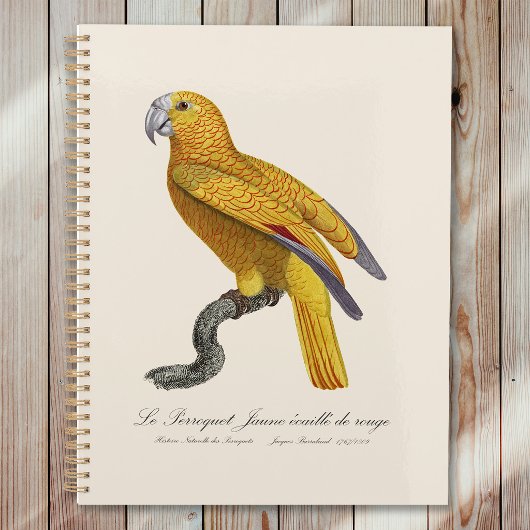 Papegaai van het Paradijs van Cuba, Psittacus Para Planner