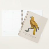 Papegaai van het Paradijs van Cuba, Psittacus Para Planner (Display)