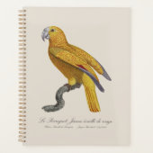 Papegaai van het Paradijs van Cuba, Psittacus Para Planner (Voorkant)