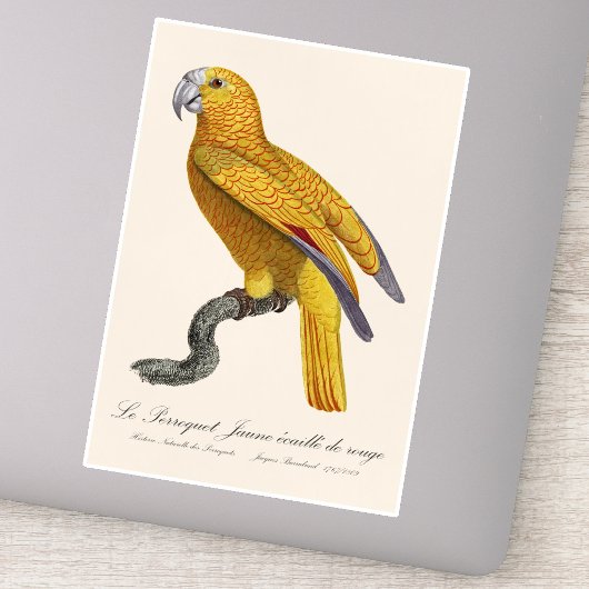 Papegaai van het Paradijs van Cuba, Psittacus Para Sticker