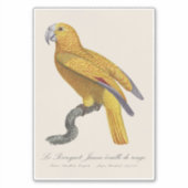 Papegaai van het Paradijs van Cuba, Psittacus Para Sticker (Voorkant)