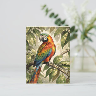 Papegaai vogel op boom tekening briefkaart
