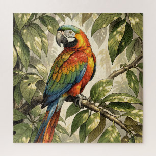 Papegaai vogel op boom tekening legpuzzel
