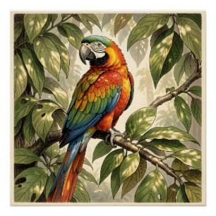Papegaai vogel op boom tekening perfect poster