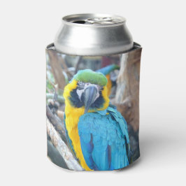 Papegaai Vogel Portret Blikjeskoeler