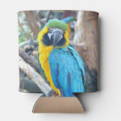 Papegaai Vogel Portret Blikjeskoeler (Achterkant)