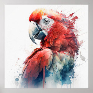Papegaai Vogel Portret Dier Schilderen Wildlife Gr Poster