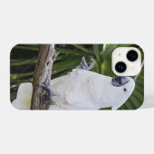 Papegaai, vogel, zitten iPhone hoesje (Achterkant horizontaal)
