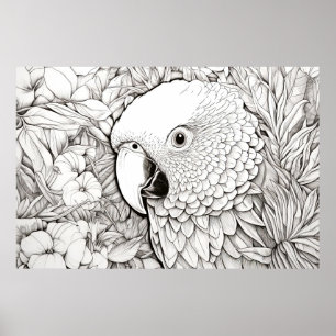 Papegaai Vreedzame Natuur Prairie Schets Tekenkuns Poster
