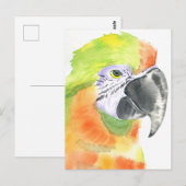 Papegaai waterverf briefkaart (Voorkant / Achterkant)