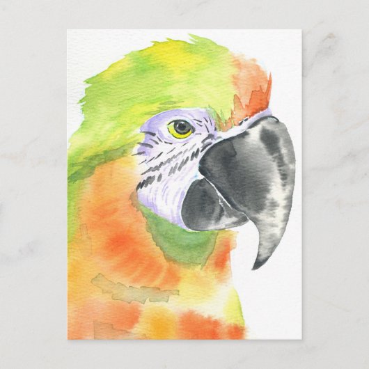 Papegaai waterverf briefkaart (Voorkant)